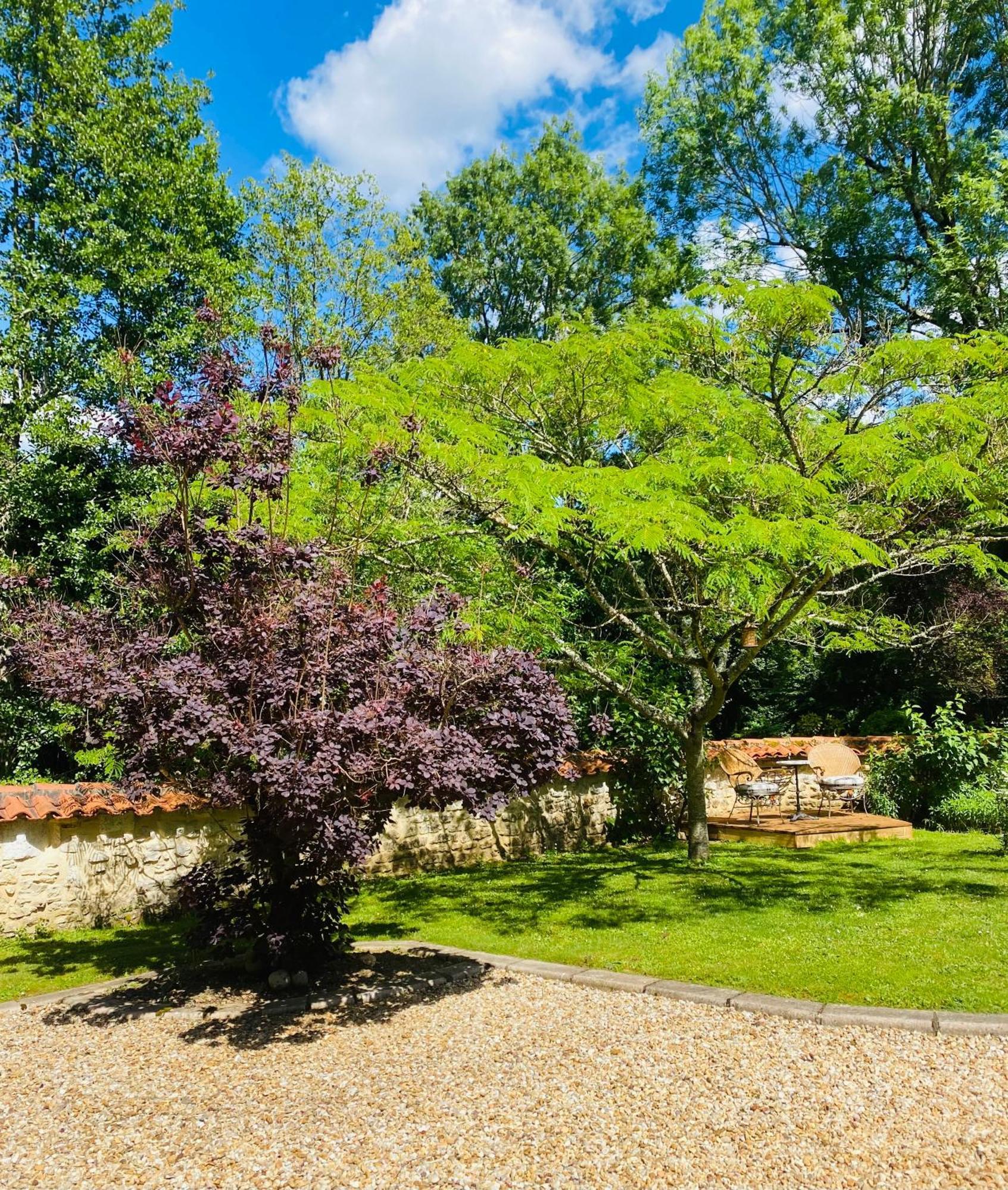 Bed and Breakfast Moulin Du Fontcourt Chasseneuil-sur-Bonnieure Exteriér fotografie