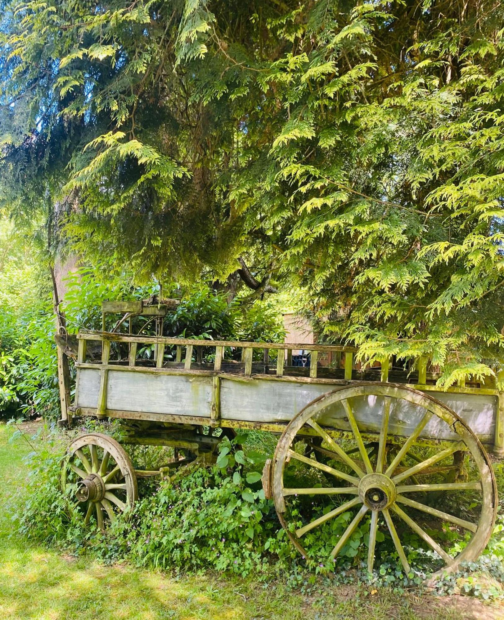 Bed and Breakfast Moulin Du Fontcourt Chasseneuil-sur-Bonnieure Exteriér fotografie