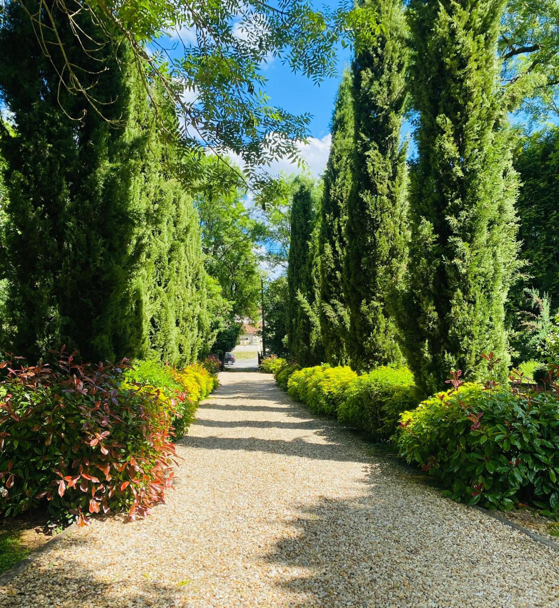 Bed and Breakfast Moulin Du Fontcourt Chasseneuil-sur-Bonnieure Exteriér fotografie