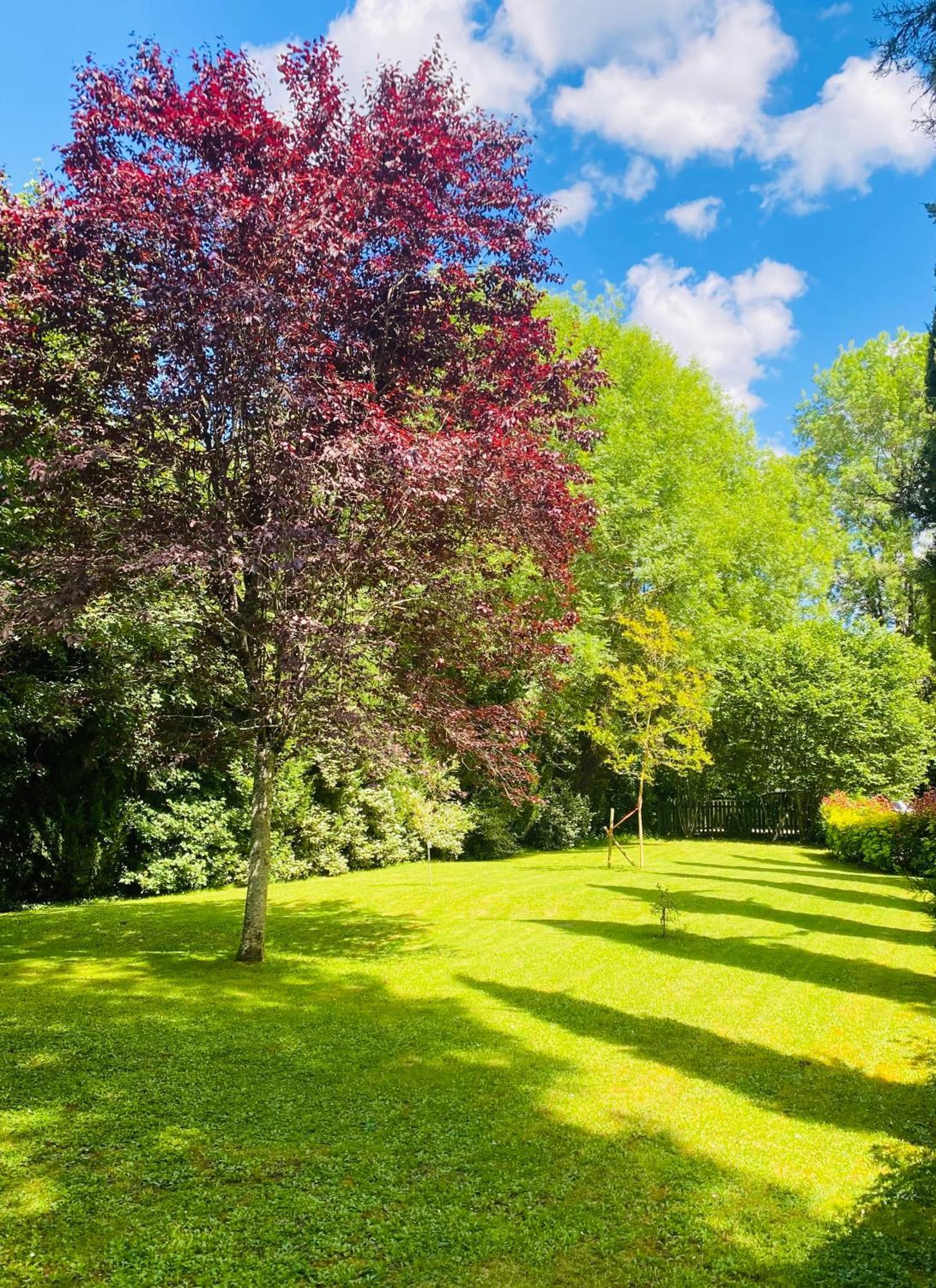 Bed and Breakfast Moulin Du Fontcourt Chasseneuil-sur-Bonnieure Exteriér fotografie